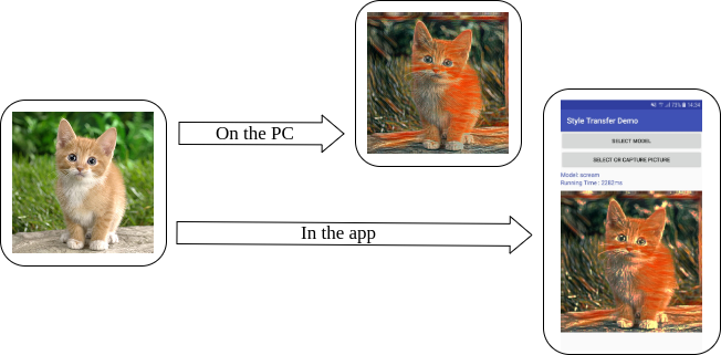 The schematic diagram of the result. The cat image is downloaded from here